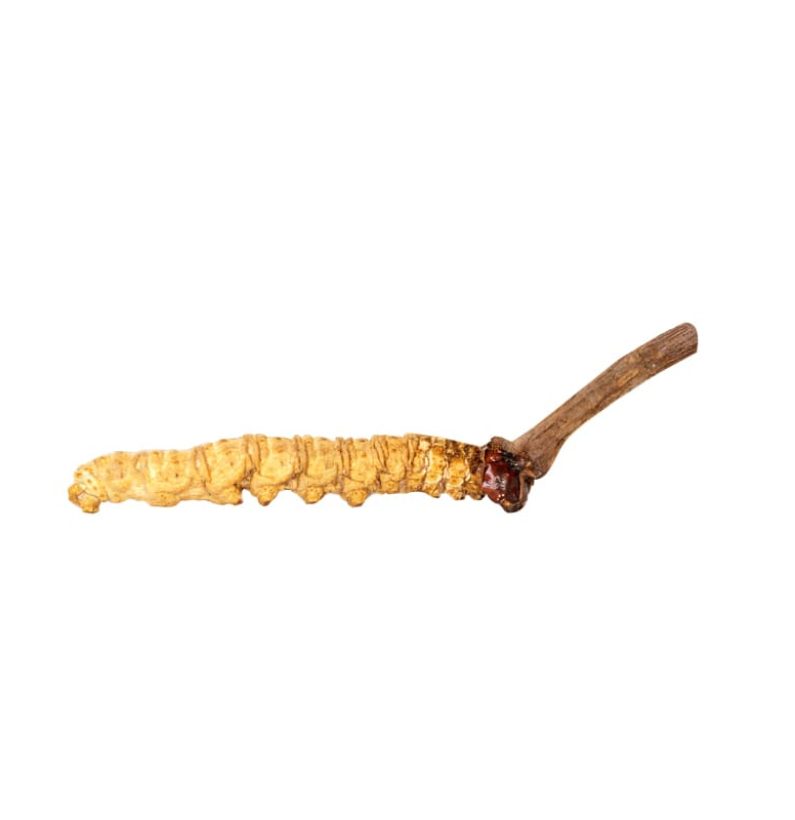 long